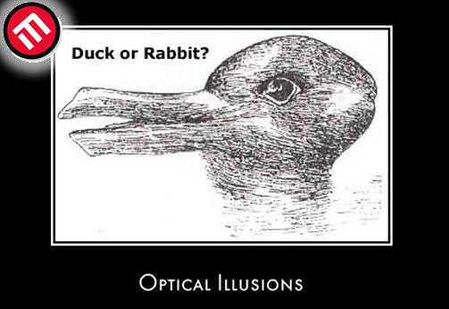 Duck or Rabbit?